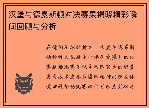 汉堡与德累斯顿对决赛果揭晓精彩瞬间回顾与分析