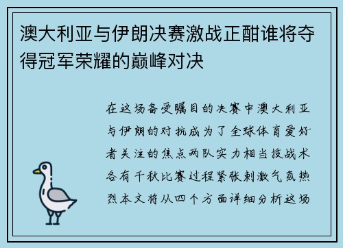 澳大利亚与伊朗决赛激战正酣谁将夺得冠军荣耀的巅峰对决